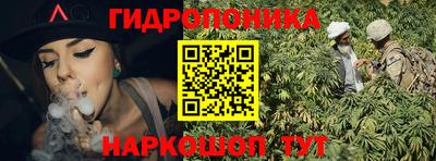 стафф Бийск